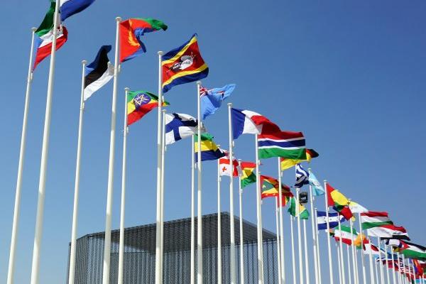 UN flags NY